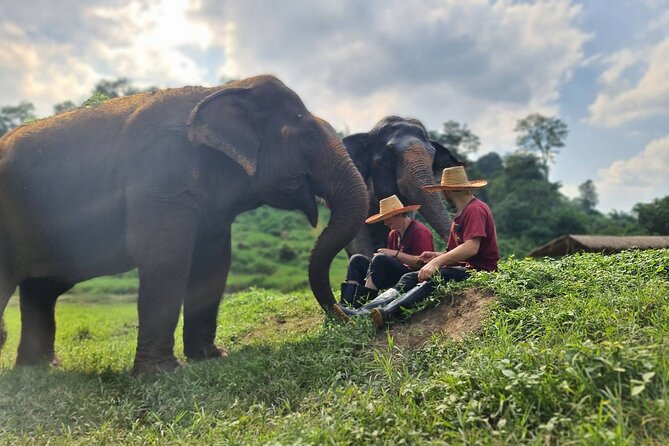 Half-Day Elephant Experience at Rantong - Mahout-style Karen Attire