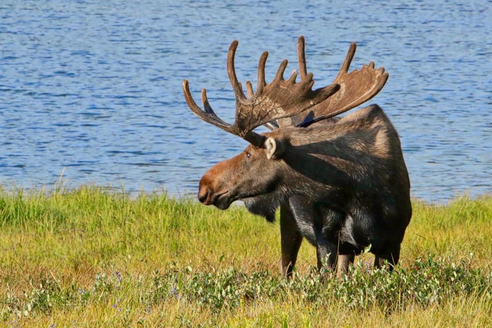 Half-Day RMNP Lakes and Meadows Tour-RMNPhotographer - Important Information