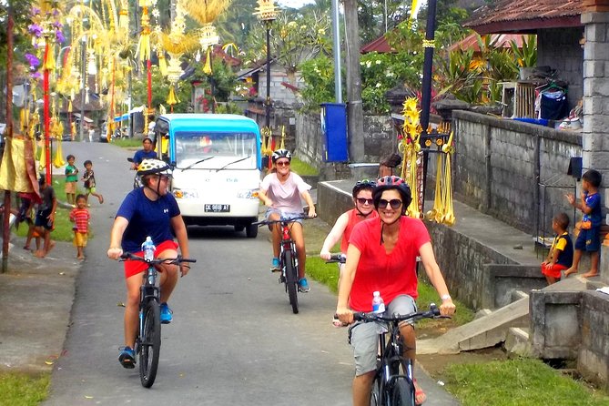 Half-Day Ubud Electric Cycling Tour to Tirta Empul Water Temple - Group Size and Cancellation Policy