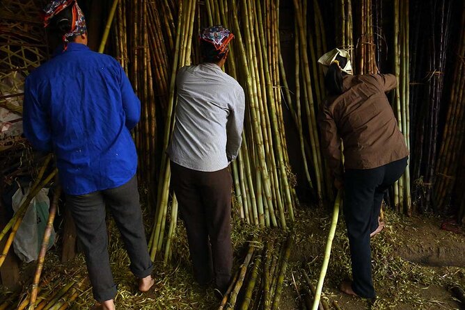 Hanoi Explorer Photo Tour - Personalized Attention and Expertise