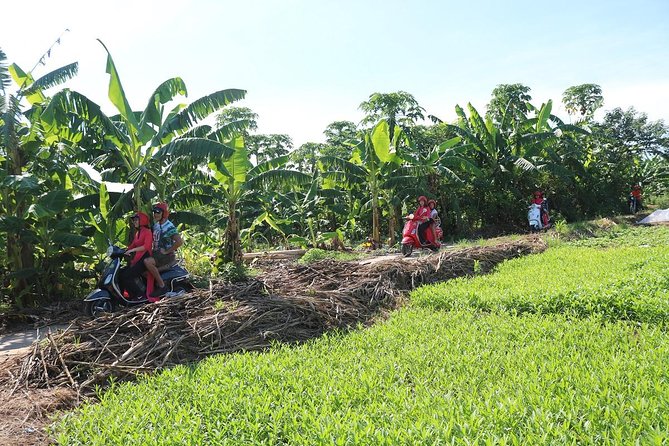 Hanoi Vespa Countryside Tour With Female Ao Dai Riders Half Day - Booking and Availability