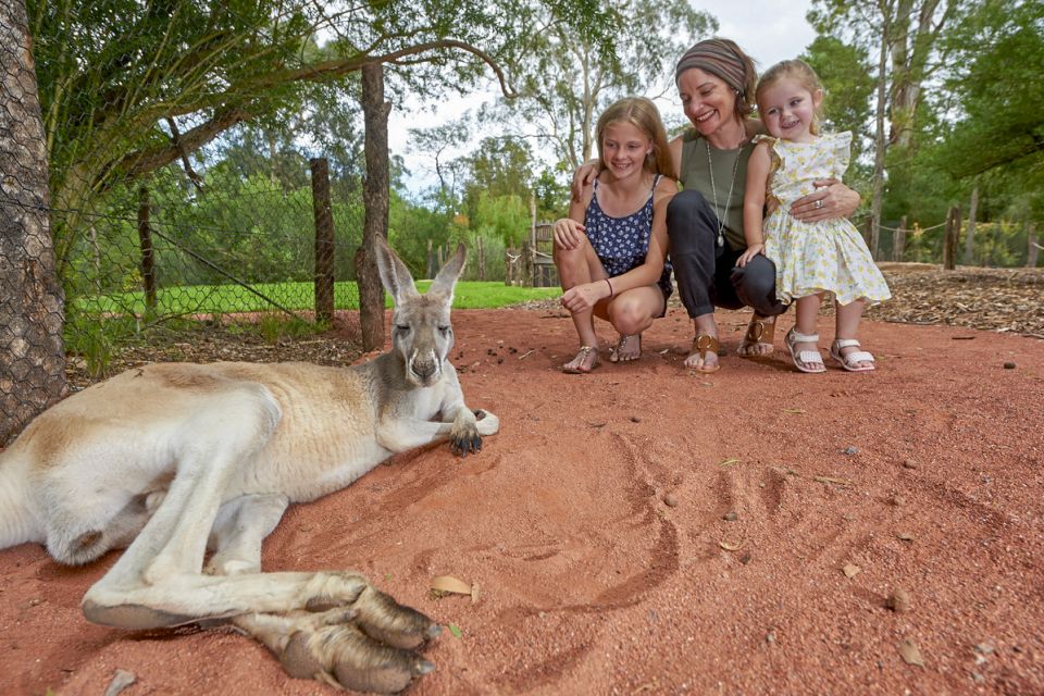 Healesville Sanctuary: General Admission Ticket - Important Information for Visitors