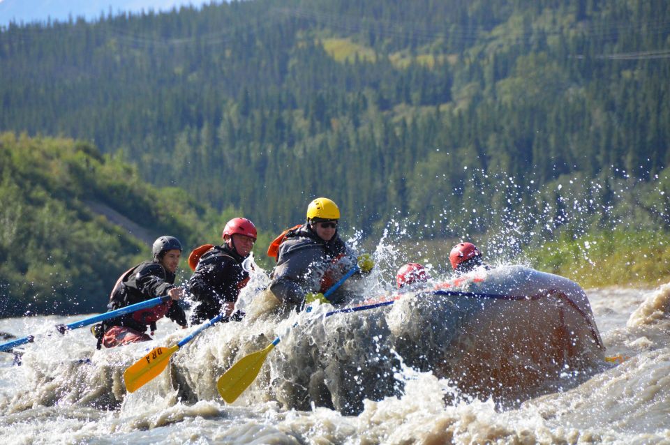 Healy: Denali National Park Class IV Whitewater Rafting Tour - Scenic Wilderness