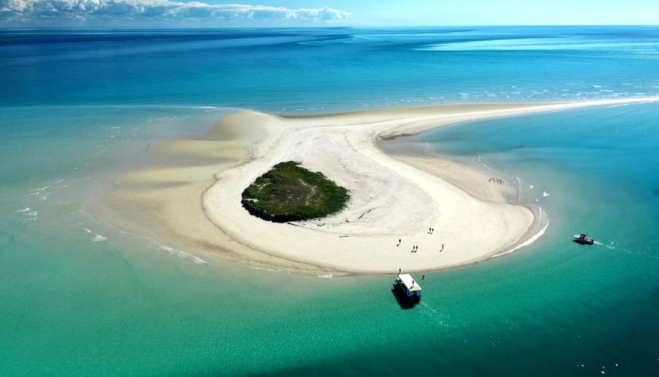 Hervey Bay: Turtle Discovery Eco Tour - Important Notes