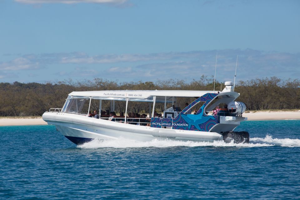 Hervey Bay: Ultimate Whale Watching Experience - What to Bring for the Experience