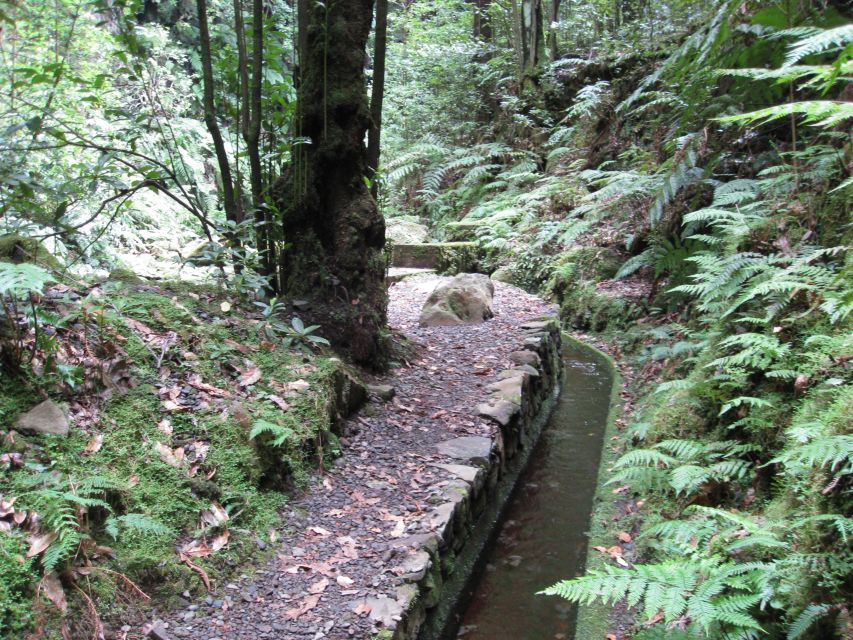 Hidden Corners, the Kings Levada Full Day Hike - Tour Rating and Reviews