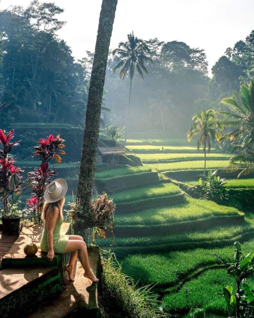 Highlight Ubud Waterfalls and Tegalalang Rice Terrace - Thrilling Jungle Swing Experience