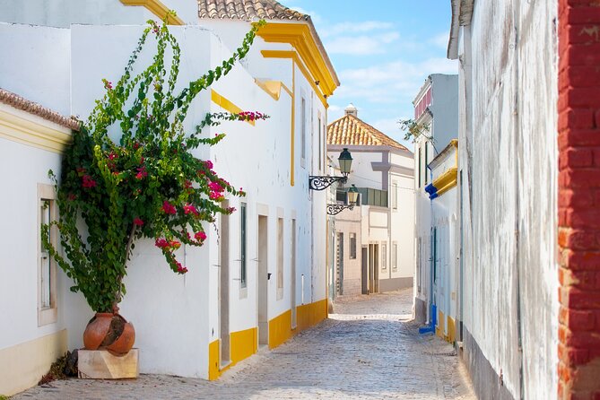 Highlights & Hidden Gems of Faro Private Tour - Local Culinary Experiences