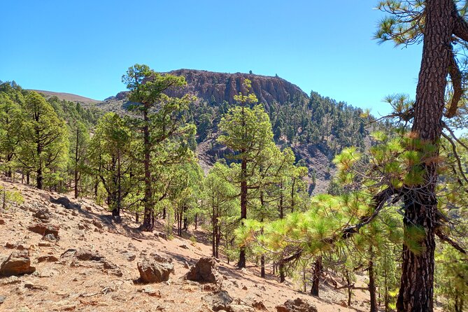 Hiking in Tenerifes Great Outdoors - Destination Highlights