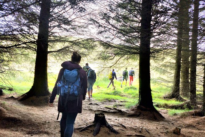 Hill & Nature Hike - Discover Real Edinburgh With a Local Expert - Inclement Weather Preparation