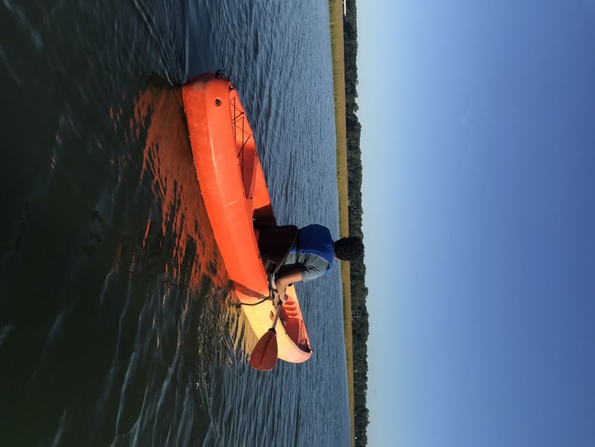 Hilton Head Island: Guided Kayak Tour With Coffee - Wildlife Spotting During the Tour