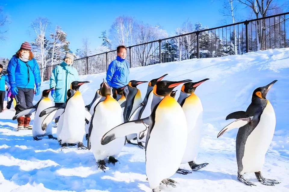 Hokkaido:Asahiyama Zoo, Shirahige Falls & Biei Pond Day Tour - Closed Dates and Alternatives