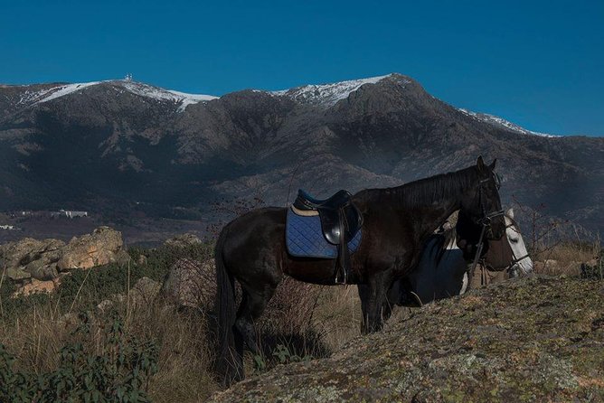 Horse Riding Madrid Natural Park - Inherent Risks and Safety