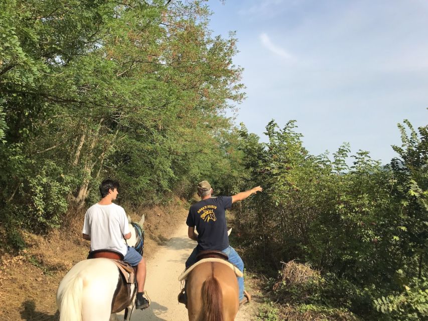 Horseback Riding and Wine Tasting in the Land of Custoza - Wine Tasting and Cellar Tour