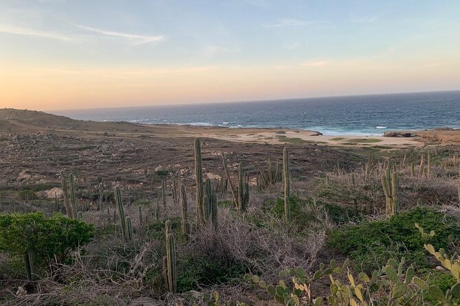 Horseback Riding Wariruri Beach Tour in Aruba - Scenic Highlights