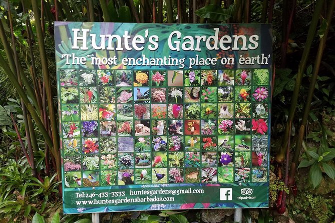 Huntes Gardens - Tips for Your Visit