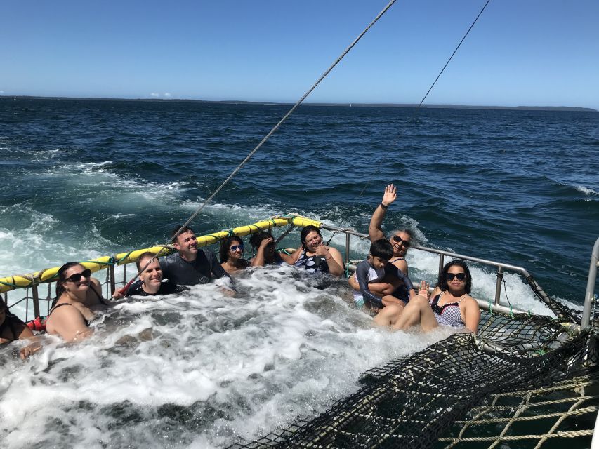 Huskisson: Dolphin Cruise & Boom Netting Experience - Recap