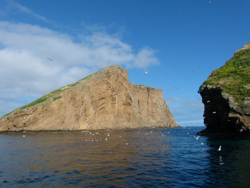 Ilhéus Das Cabras in Terceira Island - Booking and Cancellation Policy