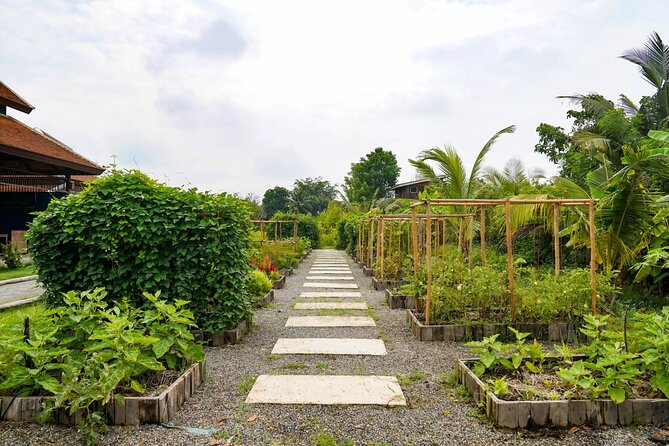 Indulge in Authentic Thai Flavors and Serene Organic Farm (Full Day Course) - Inclusive Experience Highlights