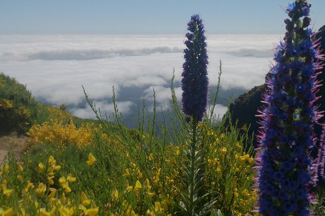 [INPUT TEXT TRANSLATED INTO ENGLISH]:Pico Do Arieiro - Pico Ruivo - Achadas Do TeixeiraPico Do Arieiro - Pico Ruivo - Achadas Do Teixeira - Booking Information