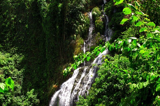 Into the Mountains-Hiking, Waterfalls & Coffee-Full Day Adventure From San Juan - Coffee-Producing Family