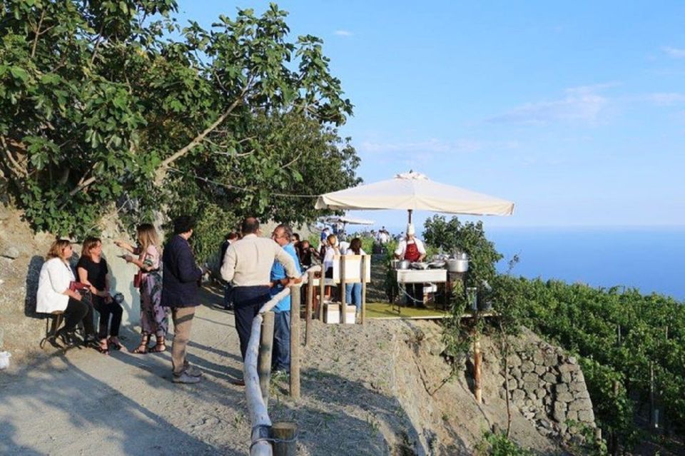 Ischia: Vineyard Tour & Wine Tasting Experience W/ Transfers - Ischia Terroir and Winemaking Insights