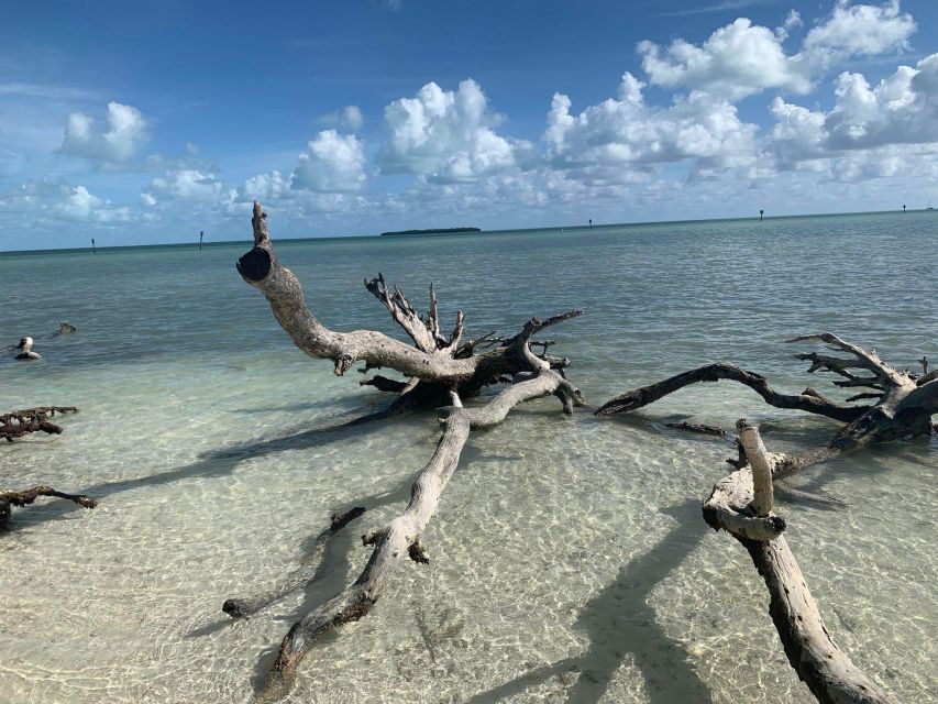 Islamorada: Guided Tour With Local Highlights - Important Information