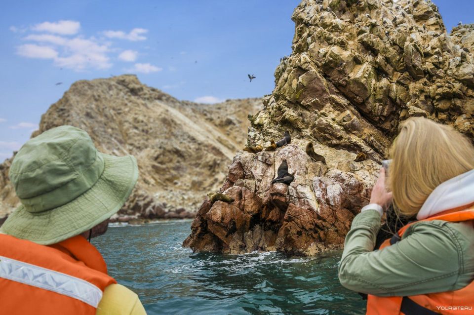 Islas Ballestas Full Day - Frequently Asked Questions