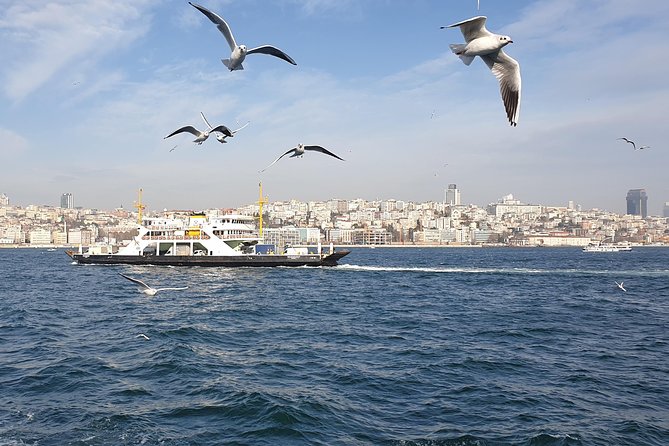 Istanbul Private Guided Tour for Layover Flight. Transfer Incl. - Confirmation and Booking
