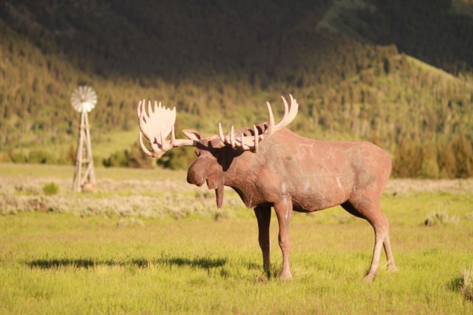 Jackson Hole: Moose Meadow Horseback Tour With Breakfast - Additional Information