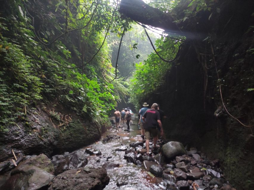 Jakarta : Botanical Garden, Waterfalls, and Rice Fields Tour - Wooden Puppet Studio