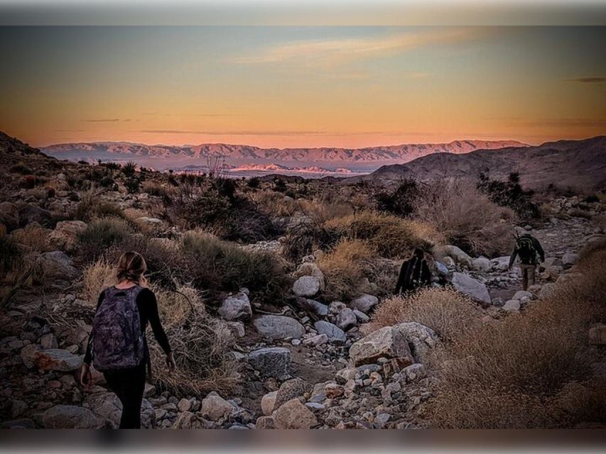 Joshua Tree: Half-Day Private Hike of the National Park - Local Expert Guides Insights