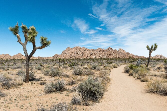 Joshua Tree National Park Self-Driving Audio Tour - Cancellation Policy