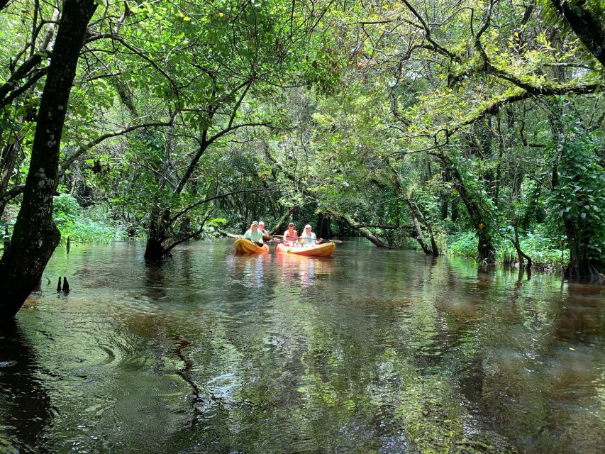 Jupiter: Loxahatchee River Scenic Kayak Tour - Kayak Equipment and Safety