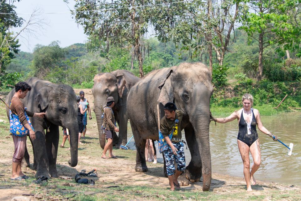 Kanchanaburi: Elephant Sanctuary & Erawan Waterfall Tour - Exploring Elephants World Sanctuary