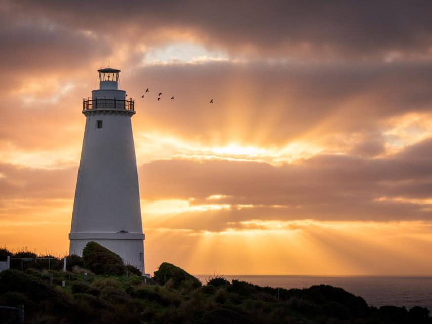 Kangaroo Island Lighthouse, Kangaroos and Wine Tasting - Frequently Asked Questions