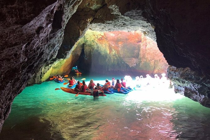 Kayak Tours With Amazing Caves, Sea Life and Marine Biologist . - Booking Confirmation and Policies