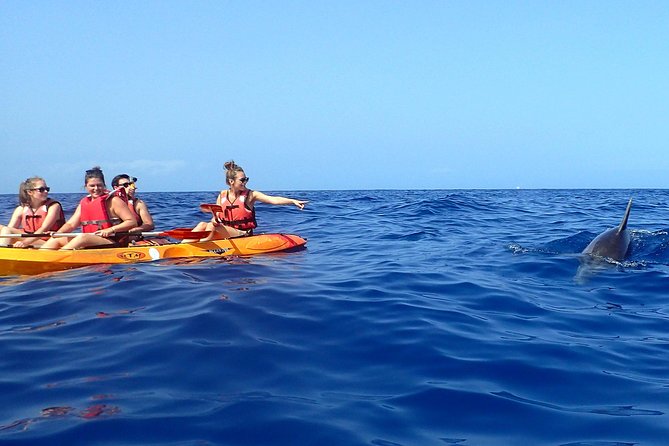 Kayaking With Dolphins and Turtles and Snorkelling in Tenerife - Meeting Point and Pickup
