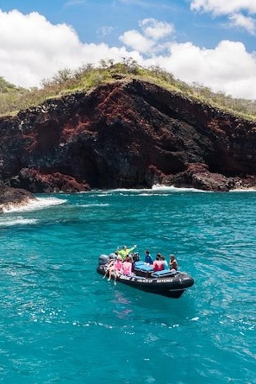 Kealakekua Bay: Snorkel and Coastal Adventure With Lunch - Spotting Spinner Dolphins and Manta Rays