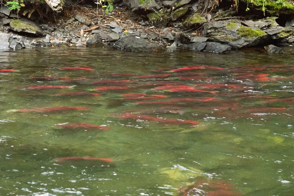 Kelowna: Mission Creek Salmon Run Audio Tour by E-Bike - Meeting Point and Tour Stops