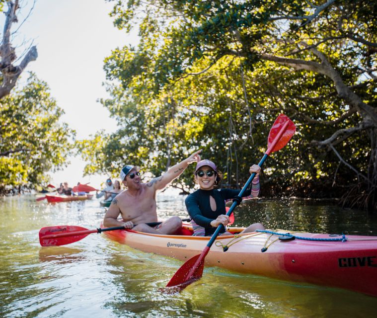 Key West Morning Sail, Snorkel & Kayak Excursion - Quality Snorkeling and Kayak Equipment