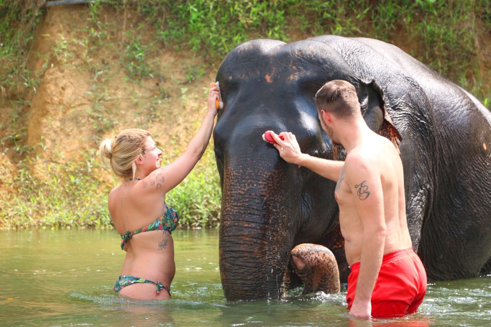 Khao Lak: Khao Sok Bamboo Rafting and Elephant Bathing Trip - Monkey Temple Sightseeing