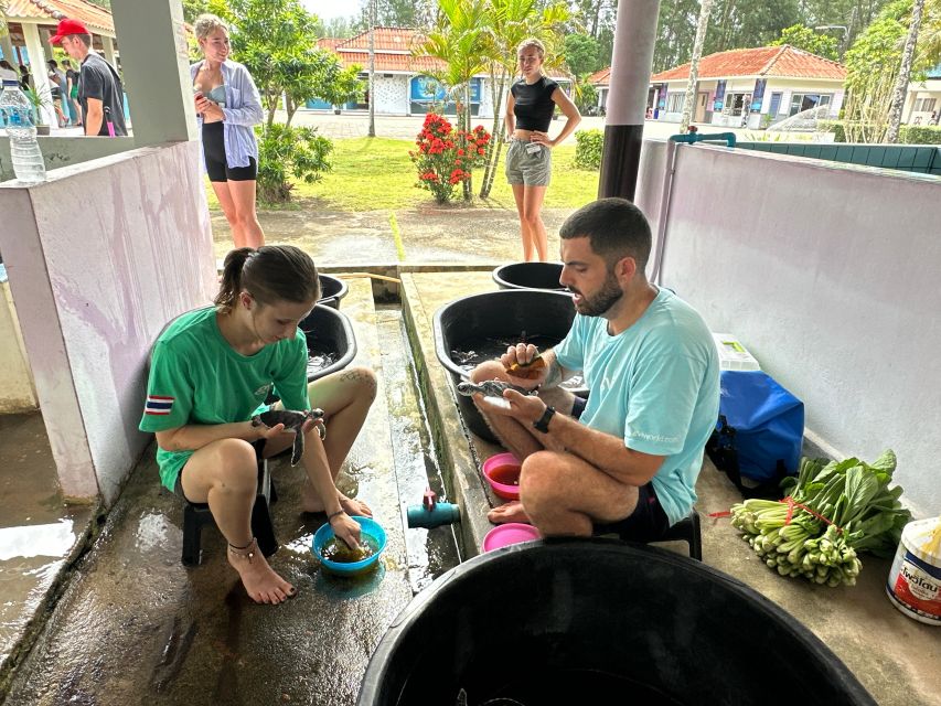 Khaolak: Elephant Sanctuary With Turtle Conservation Center - Exploring Wat Lak Kaen