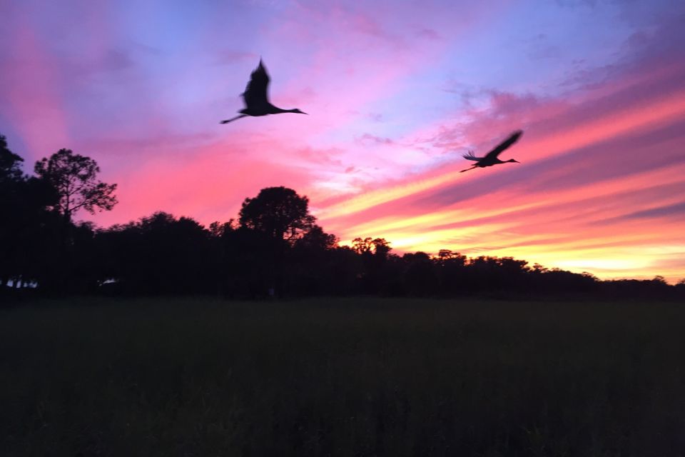 Kissimmee: Boggy Creek Sunset Airboat Tour - Well-Maintained Airboat and Safety Gear