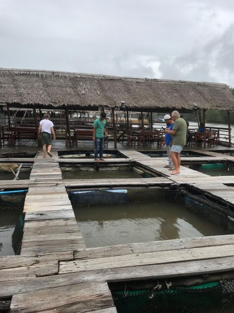 Ko Lanta: Amazon Mangrove Tour Kayaking Tour With Lunch - Included Amenities