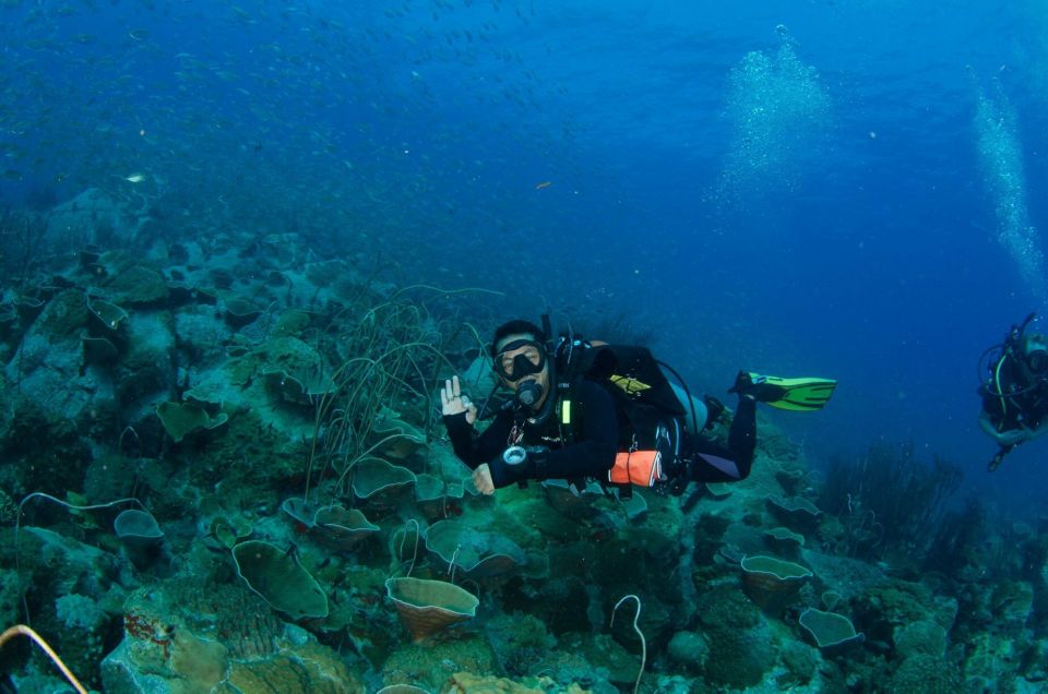 Koh Kood: 3-Day PADI Open Water SCUBA Diving Course - Frequently Asked Questions