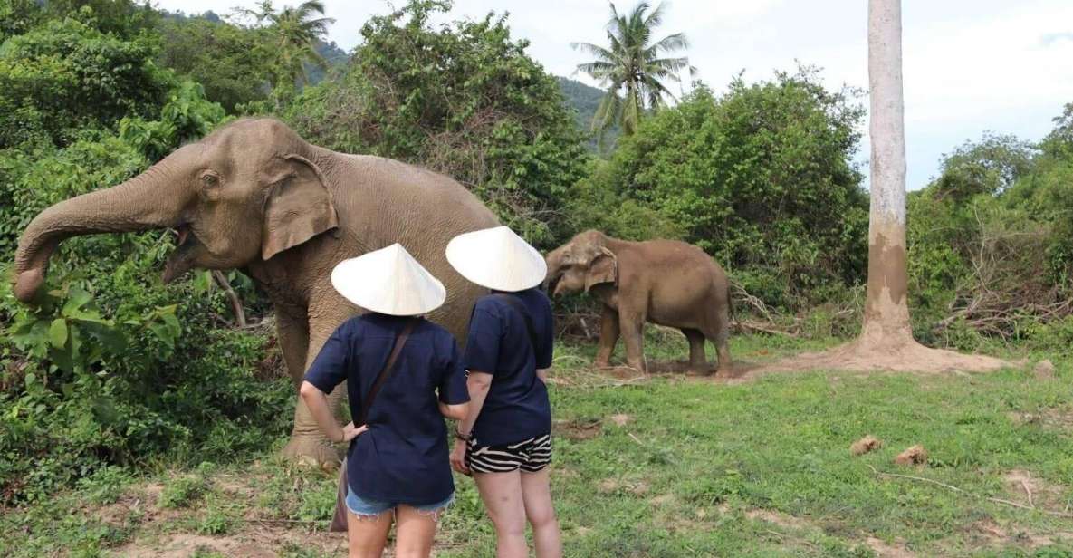 Koh Samui: Elephant Sanctuary and More - Full Day - Relaxing at Silver Beach