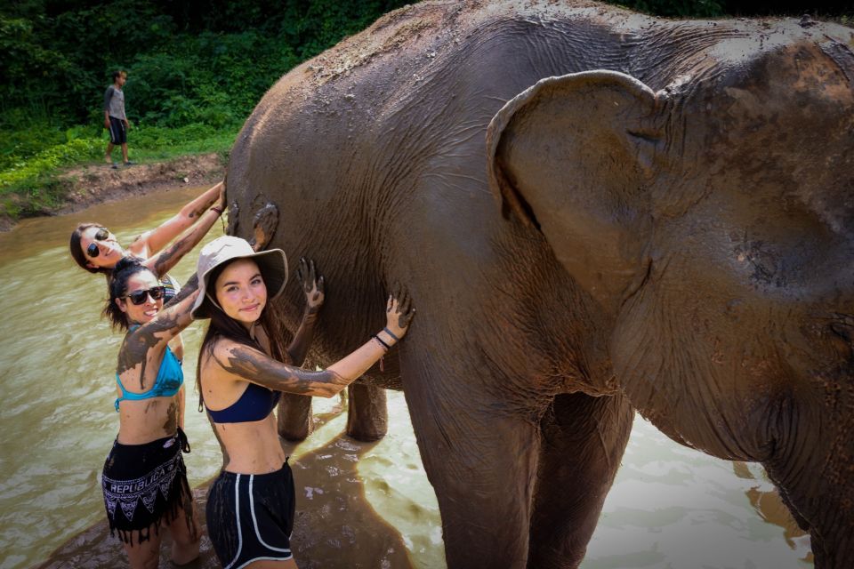 Koh Samui: Ethical Elephant Sanctuary Tour With Buffet Lunch - Logistics