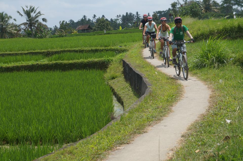 Kuta: Kintamani Culture and Nature Guided Cycling Tour - Cultural Experiences