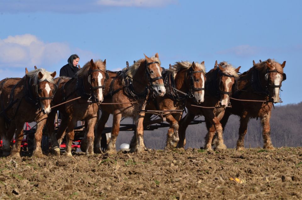 Lancaster County: Amish Farmlands, Museum Tour, Farm Visit - Hotel Pickup and Drop-off